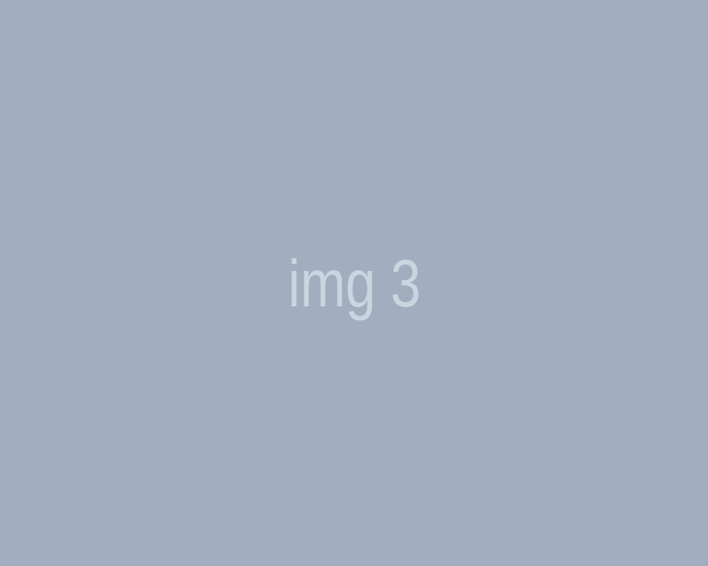 img 3